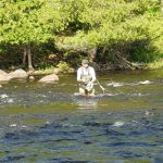 Fly fishing the Wolf River