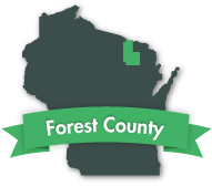 forest_031