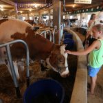 The Central Wisconsin State Fair in Marshfield was in full swing, Saturday, September 5, 20154