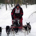 Pine River Dog Sled Race Merrill