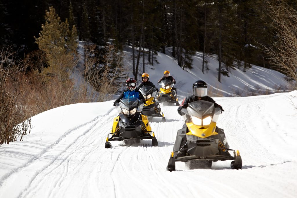 A group of snowmobilers coming downhill in a clearing