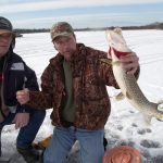 Northern pike caught Ice Fishing on Lake Arrowhead near Wisconsin Rapids.
