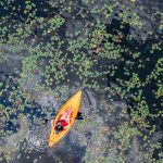 Crooked_Lake_Oconto_County_250714_DJI_20250714130041_0700_D