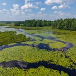 Weso_Flowage_Oconto_County_250714_DJI_20250714153449_0755_D