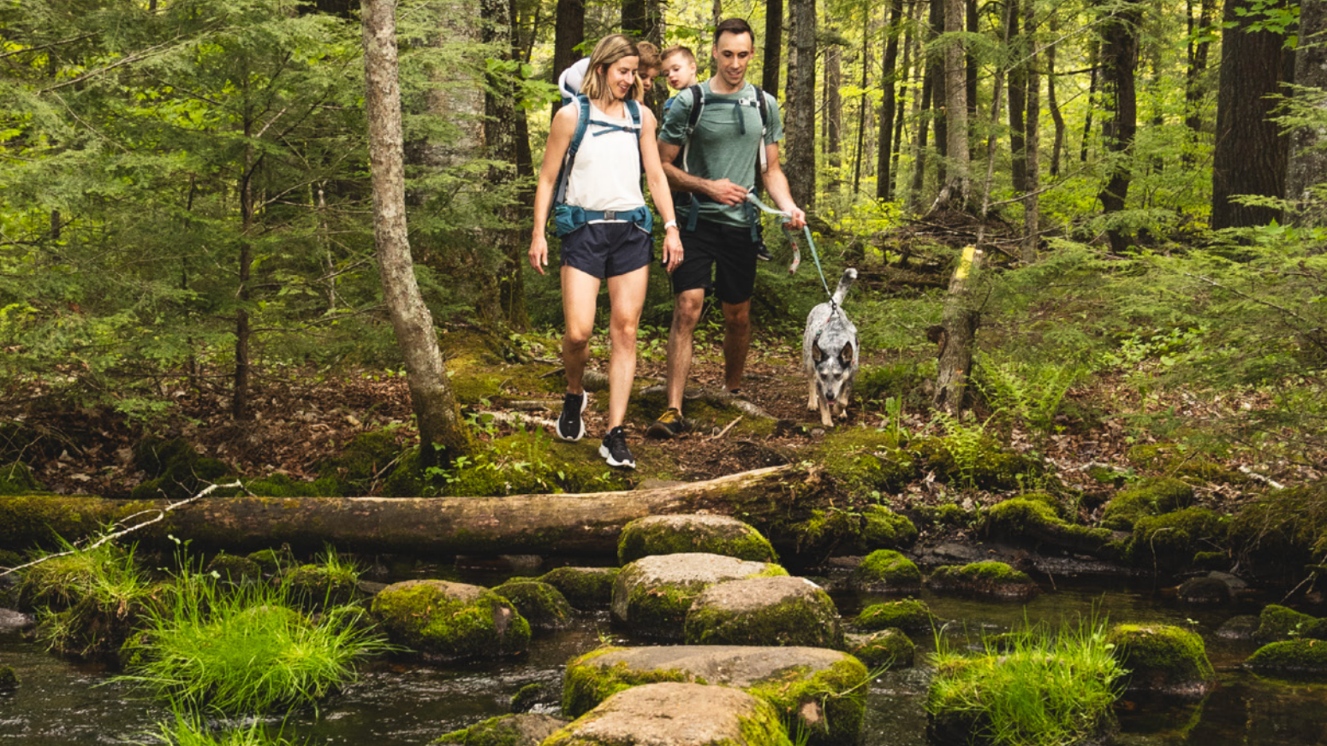 Ice Age Trail Plover River